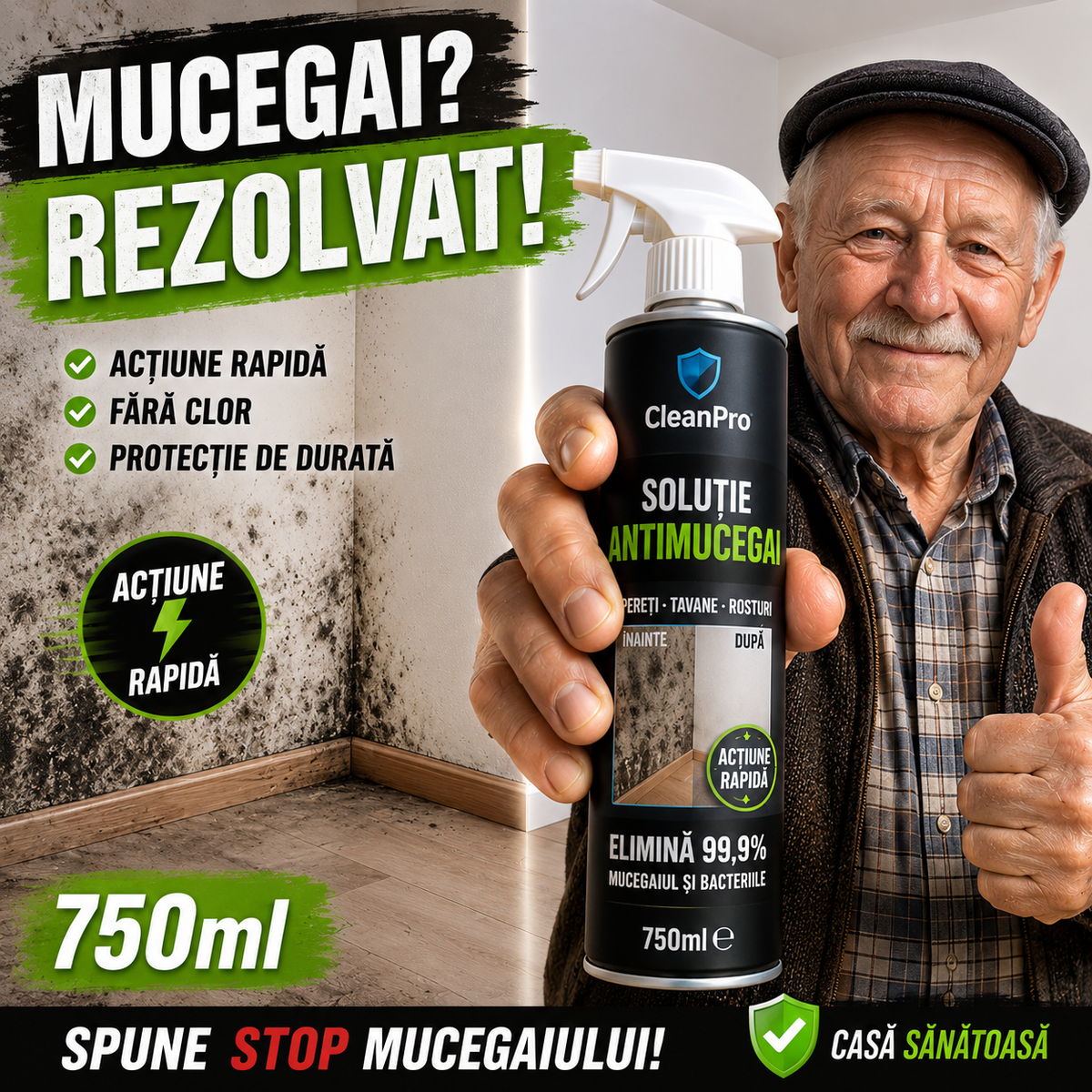 1+1 GRATIS - Soluție antimucegai FORTE - 750ml